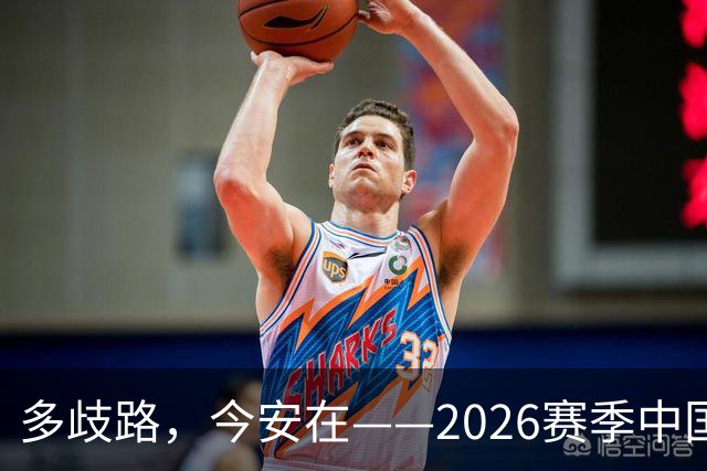 多歧路，今安在——2026赛季中国女排表现观感之四