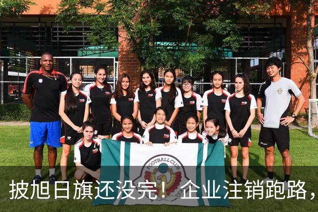 披旭日旗还没完！企业注销跑路，又揪出5个喊“一起披”的