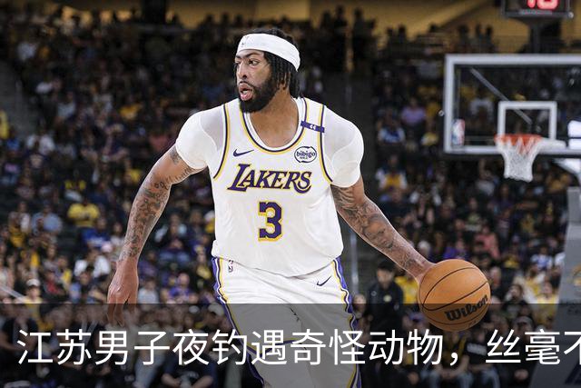 江苏男子夜钓遇奇怪动物，丝毫不怕人主动凑近讨食！网友：后台硬胆子就是大